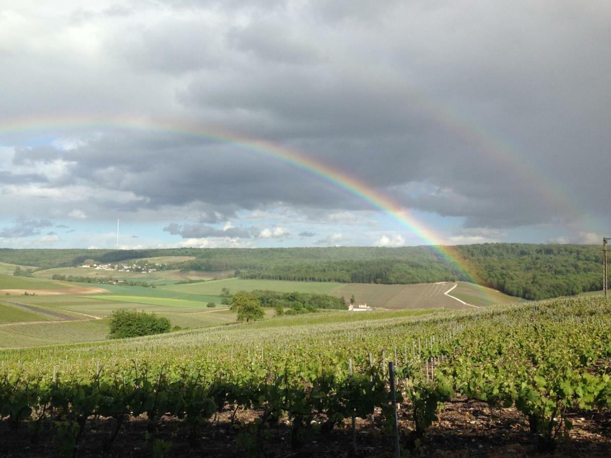 Flor'Ever En Champagne Fleury-la-Riviere Екстериор снимка