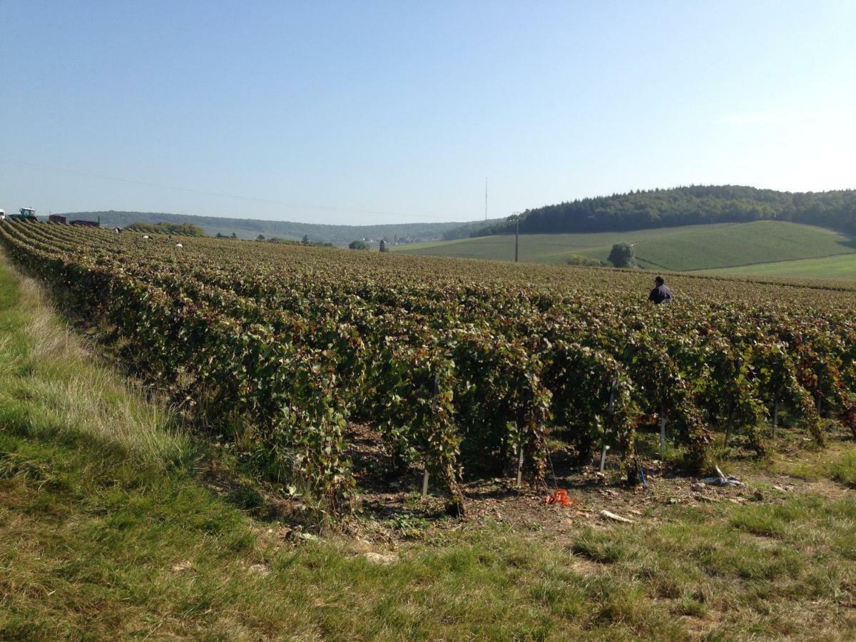 Flor'Ever En Champagne Fleury-la-Riviere Екстериор снимка