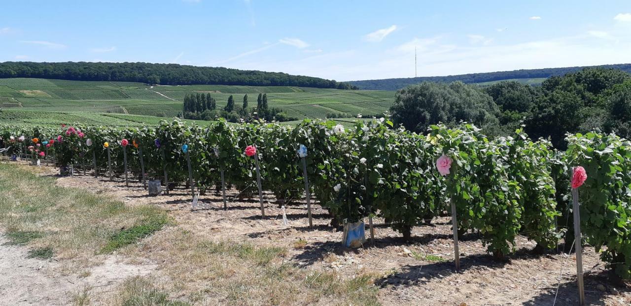 Flor'Ever En Champagne Fleury-la-Riviere Екстериор снимка