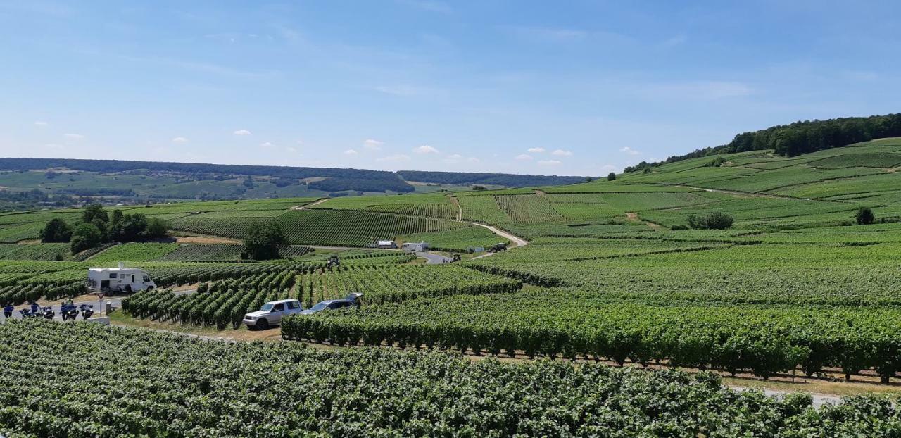 Flor'Ever En Champagne Fleury-la-Riviere Екстериор снимка